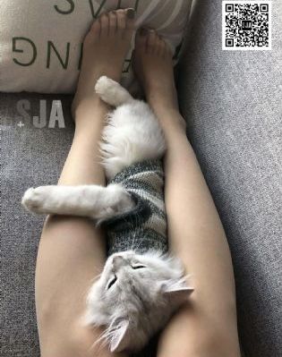 老湿机影视视频大全在线观看_超清韩国电影在线观看